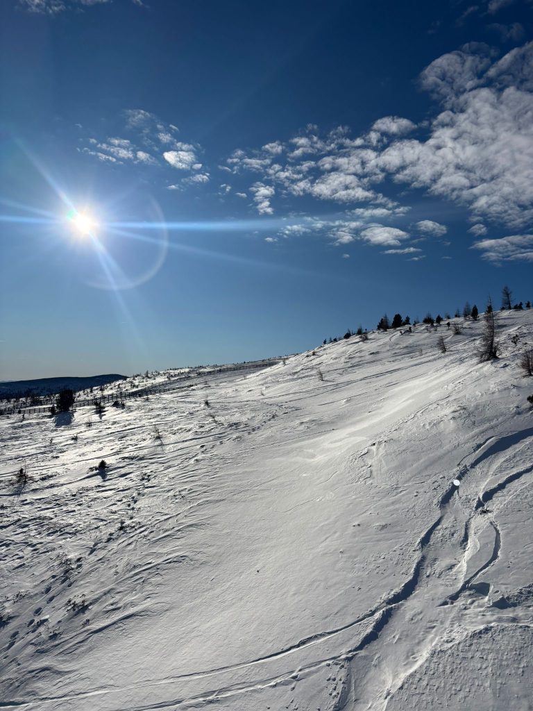 e55ae3be-de67-4404-b073-df21b3628c2b